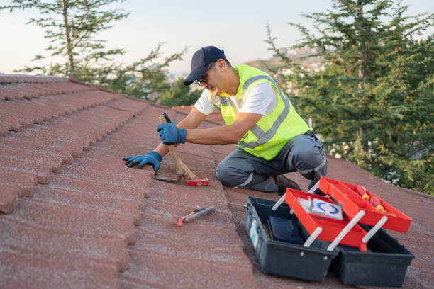Best Metal Roofing Contractor  in Shelbyville, TN
