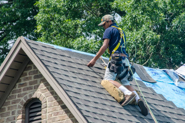 Quick and Trustworthy Emergency Roof Repair Services in Shelbyville, TN